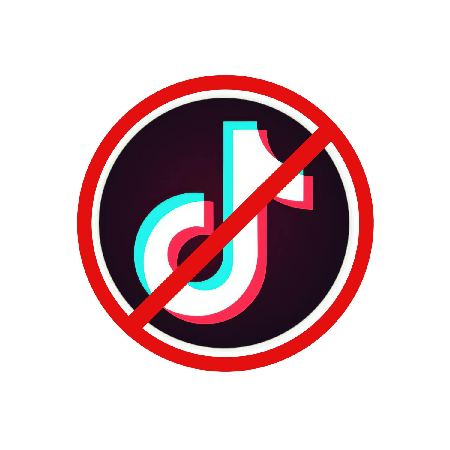 How the TikTok Ban in Canada and the Restoration in the US Impact Small Businesses